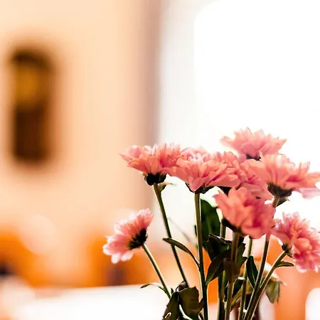 Meyers 3* Isenbüttel